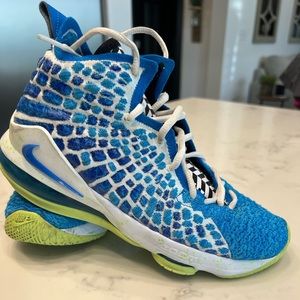 Boys Lebron Nike Shoes. Worn a couple times.